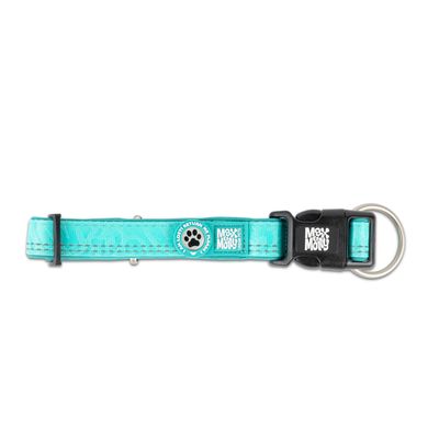 Collier pour chien en tissu turquoise avec boucle noire, anneau métallique et texte visible : 'Max & Molly', motif patte sur médaillon rond.