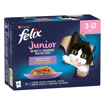 Purina Felix Junior, 12x saszetek w galarecie dla kociąt 2–12 miesięcy; smaki: wołowina, kurczak, sardynka, łosoś. Widoczny kot i miska z karmą na opakowaniu.