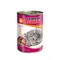 Super Benek Getreidefrei Chunks 10 x 415 g Ente in Sauce