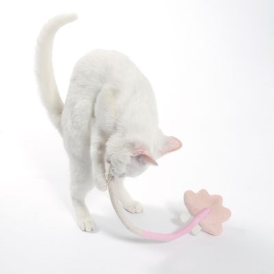 White cat playing with a pink cloud-shaped toy attached to a flexible fabric tube.