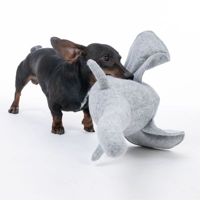 Cane che gioca con un grande peluche grigio a forma di animale.