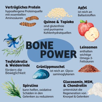 BONE POWER: Verträgliches Protein, Quinoa & Tapioka, Apfel, Leinsamen, Teufelskralle & Weidenrinde, Grünlippmuschel, Spirulina, Glucosamin, MSM & Chondroitin mit jeweiliger Funktion.