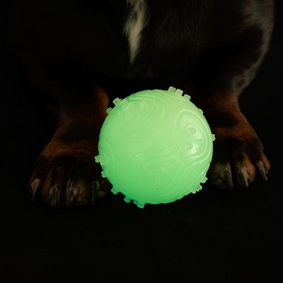 Svetlozelená lopta so štruktúrovaným povrchom, umiestnená pred labkami psa.