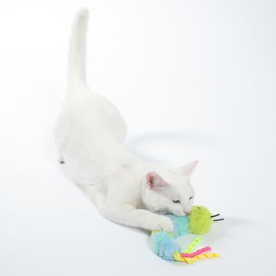 Witte kat speelt met een kleurrijk pluchen speeltje in groen, blauw en geel met franjes.