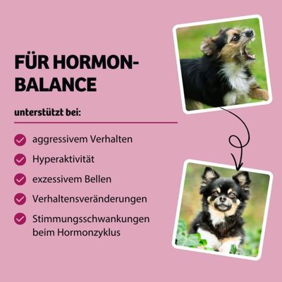 Für Hormon-Balance, unterstützt bei aggressivem Verhalten, Hyperaktivität, exzessivem Bellen, Verhaltensveränderungen, Stimmungsschwankungen beim Hormonzyklus.