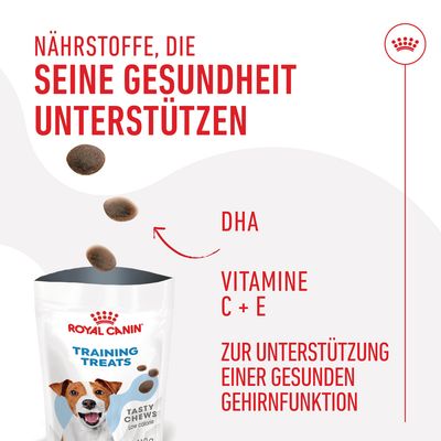 Royal Canin Training Treats mit DHA und Vitaminen C + E zur Unterstützung einer gesunden Gehirnfunktion. Niedrigkalorische Leckerlis für Hunde.