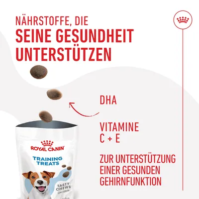 Texte en allemand : Nährstoffe, die seine Gesundheit unterstützen. DHA, Vitamine C + E. Zur Unterstützung einer gesunden Gehirnfunktion. Royal Canin Training Treats Tasty Chews.