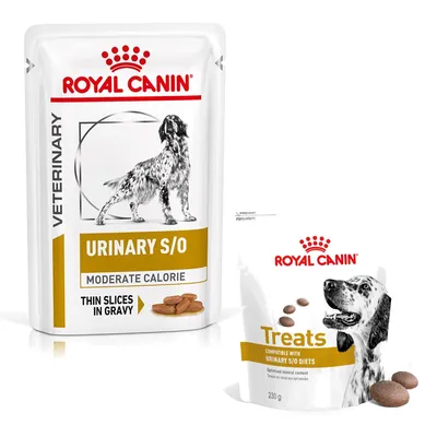 Royal Canin: Veterinary, karma mokra dla psa + Urinary Treats, 230 g (150 sztuk) gratis! - Canine Urinary S/O Moderate Calorie w saszetkach, 12 x 100 g Royal Canin: Veterinary, karma mokra dla psa + Urinary Treats, 230 g (150 sztuk) gratis! - Canine Urinary S/O Moderate Calorie w saszetkach, 12 x 100 g