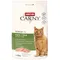 animonda Carny Senior Huhn + Rind Sparpaket: 2 x 10 kg