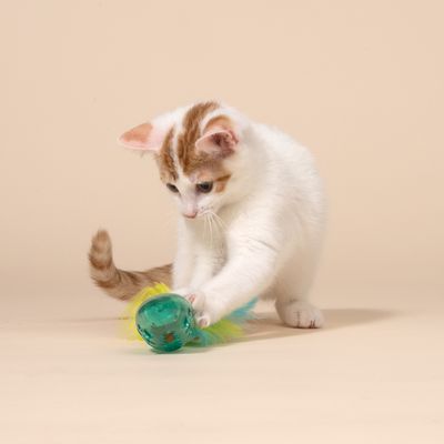 TIAKI Maus mit Katzenminzeball und Federn