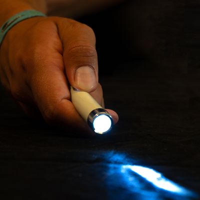 zooplus Basics LED-Pointer