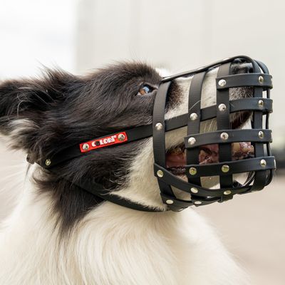 COLORI® 2.0 Açaime Shepherd M, preto