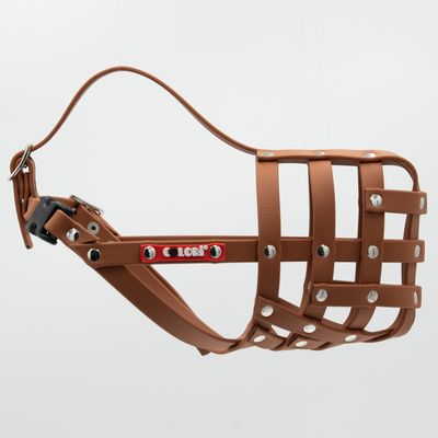 Muselière en lanières de cuir marron avec rivets métalliques, marque COLORI visible sur une étiquette rouge fixée à la sangle latérale.