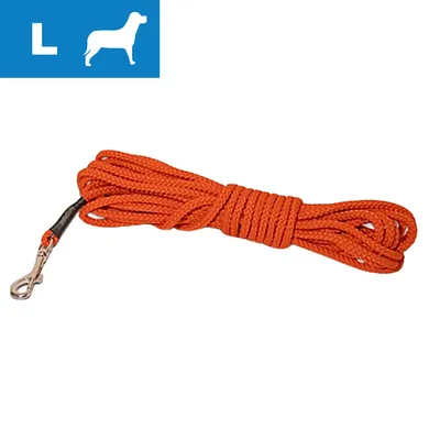 Orange line med metal karabinhage, størrelse L vist i blå felt med hvid hundesilhuet og bogstavet L øverst til venstre.