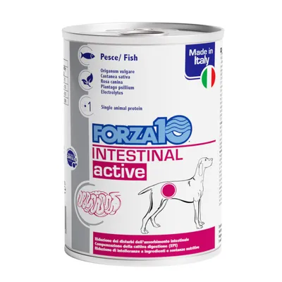 Boîte Forza10 Intestinal Active pour chien, poisson, origanum vulgare, castanea sativa, rosa canina, plantago psyllium, électrolytes, Made in Italy, texte en italien sur l’étiquette.