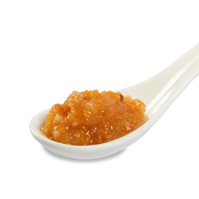 Portion de pâtée ou nourriture humide orange sur une cuillère blanche en céramique, sans marque visible ni texte.