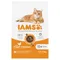 IAMS Advanced Nutrition Senior Cat 11+ mit Huhn 10 kg