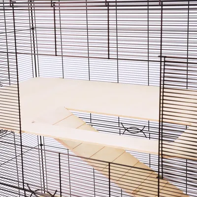 Intérieur de cage en métal avec étage et rampe en bois clair, sans accessoires ni animaux visibles.