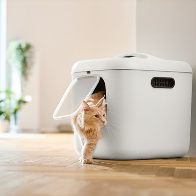 Chat sortant d'une maison de toilette blanche avec porte battante transparente et poignée sur le dessus, grille d’aération visible sur le côté.