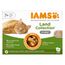 IAMS Advanced Nutrition Senior 7+ Land Collectie in gelei 12 x 85 g (3 smaken)