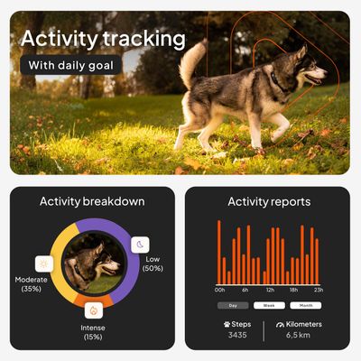 Weenect Pet GPS Tracker XT для собак — с ошейником 