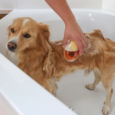 Magic Brush használata samponnal nedves szőrön fürdőkádban.