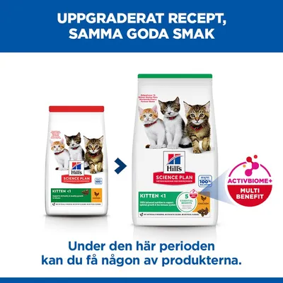 Hill's Science Plan Kitten Chicken - 7 kg