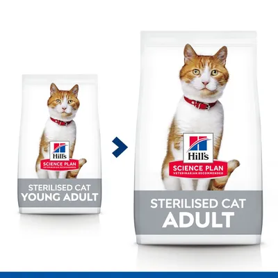 Pachete hrană pentru pisici sterilizate Hill's Science Plan: Young Adult și Adult, cu imaginea unei pisici portocalii pe ambalaj. Text vizibil: STERILISED CAT YOUNG ADULT, STERILISED CAT ADULT.