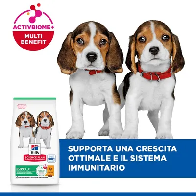Hill's Science Plan Puppy <1 Medium con Pollo - 14 kg