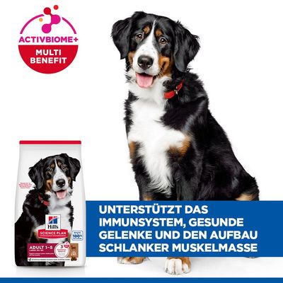 Hill's Science Plan Adult 1-5 Large mit Lamm & Reis - Sparpaket: 2 x 14 kg