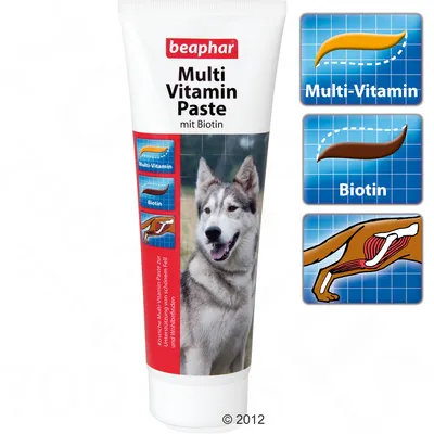 Tube beaphar Multi Vitamin Paste mit Biotin, texte visible : Multi-Vitamin, Biotin, illustrations de pâte et schéma de patte de chien. Convient pour l’achat du produit.