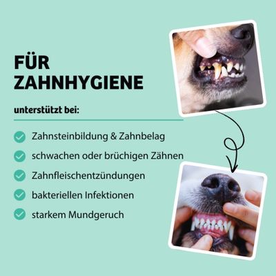 Für Zahnhygiene: unterstützt bei Zahnsteinbildung und Zahnbelag, schwachen oder brüchigen Zähnen, Zahnfleischentzündungen, bakteriellen Infektionen, starkem Mundgeruch.