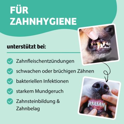 Für Zahnhygiene: unterstützt bei Zahnfleischentzündungen, schwachen oder brüchigen Zähnen, bakteriellen Infektionen, starkem Mundgeruch, Zahnsteinbildung und Zahnbelag.