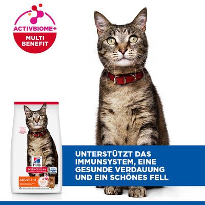 Hill's Science Plan Adult Lamm & Reis - 10 kg