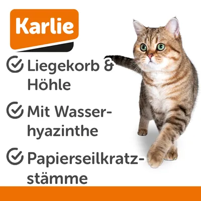 Karlie. Coș de odihnă și adăpost, cu zambilă de apă, stâlpi de zgâriat din sfoară de hârtie.