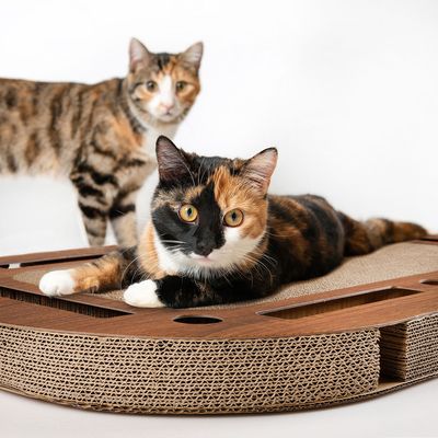 Kat ligt op een krabplank van golfkarton met houtlook en meerdere uitsparingen.