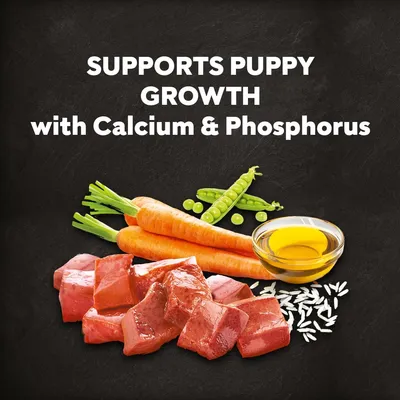 Cesar Puppy with Chicken, Rice & Vegetables - 1.4kg