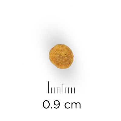Croquette ronde avec indication de taille : 0,9 cm de diamètre