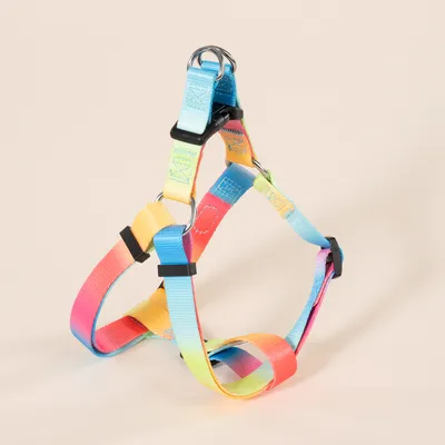 TIAKI Harnais pour chiens Rainbow - taille S : 43 - 50 cm de tour de poitrine