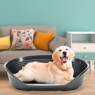 Hund liegt in einem schwarzen Kunststoff-Hundebett vor einer Couch mit bunten Kissen und einem Nachttisch. Produkt zeigt Hundebett im Wohnraum.