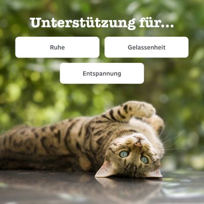 Zesty Paws Cat Calming Paste