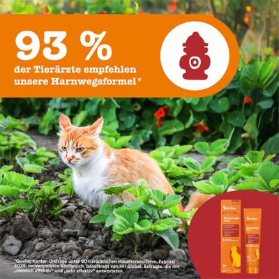 93 % der Tierärzte empfehlen unsere Harnwegsformel. Abbildung einer Harnwege-Paste für Katzen, Quelle: Kantar-Umfrage unter tierärztlichen Haustierbesitzern.