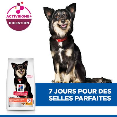 Hill's Science Plan Perfect Digestion avec ActivBiome+ Digestion. Texte : 7 jours pour des selles parfaites. Illustration d'un chien et de l'emballage du produit.