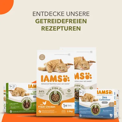 Opdag vores kornfri opskrifter fra IAMS. Produkter: Grain Free Recipe med frisk kylling, Sea Collection i sovs, Land Collection med lam og oksekød. Til katte fra 1 år.