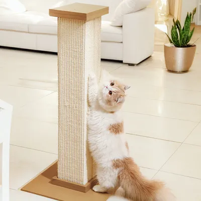 Canadian Cat Company Kenny Kenny Κορμός Ξυσίματος - μπεζ