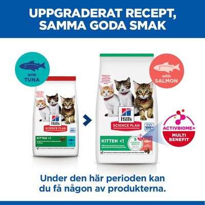 Hill's Science Plan Kitten <1 Salmon