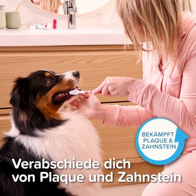 Beaphar Zahnpflege-Set