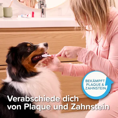beaphar Zahnpflege-Set - Zahnpasta & Bürste (100 g)
