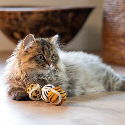 beeztees мячики для кошек с мотивом джунглей