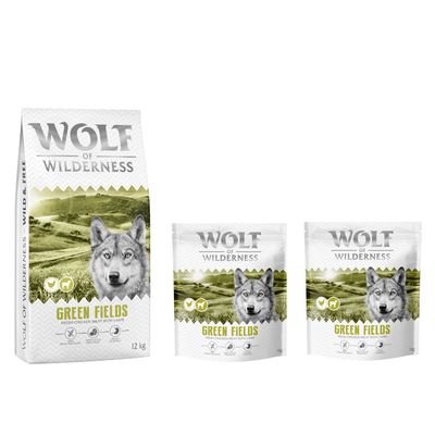 Wolf of Wilderness Logo. Hund springt über moosbedeckte Felsen in einem Wald.